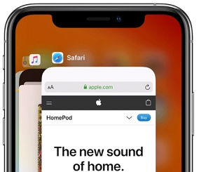 Renuncia a la App Store 
