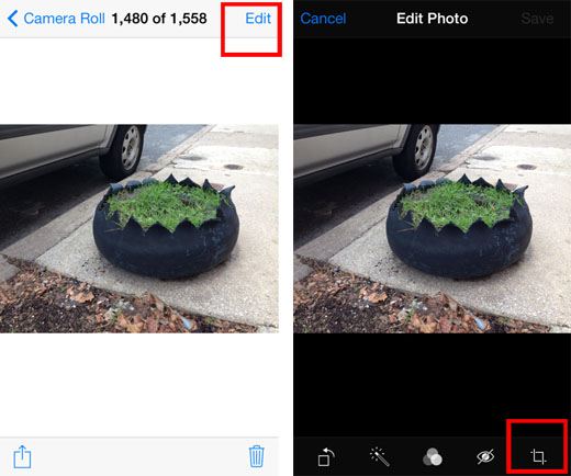 Crop-Photos-on-iPhone.jpg
