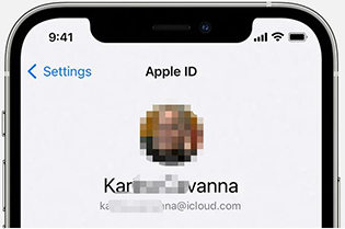 Haga clic en su ID
