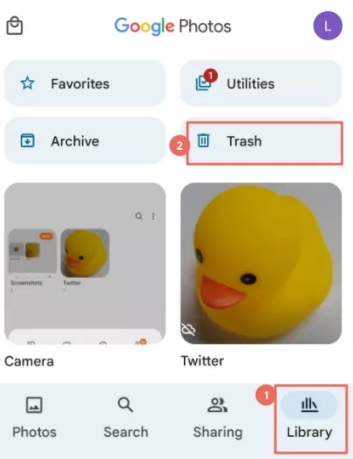 Recuperar fotos de Google Photos
