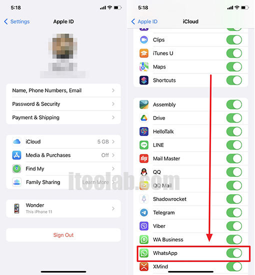Desactivar Auto Whatsapp Backup iPhone