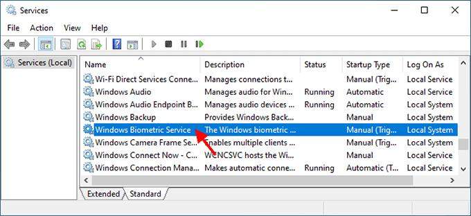 Cómo eliminar diferentes opciones de inicio de sesión en Windows 11